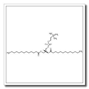 (2R)-2,3-Bis(tridecanoyloxy)propyl 2-(trimethylammonio)ethyl phosphate
