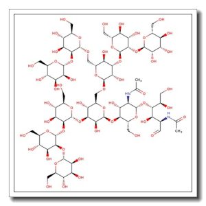Man-9 N-Glycan