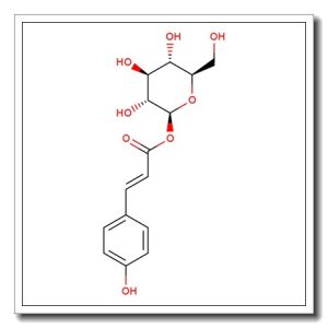p-Coumaroyl-b-D-glucose