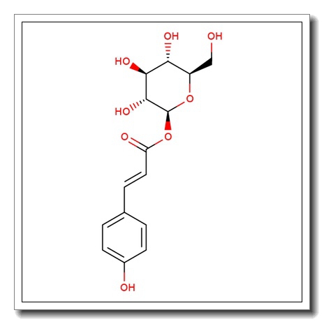 p-Coumaroyl-b-D-glucose