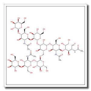 NA2 N-Glycan