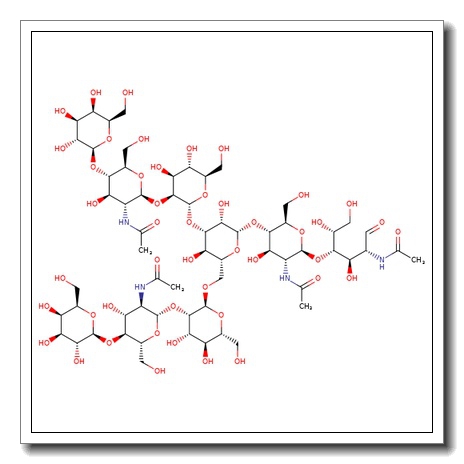 NA2 N-Glycan