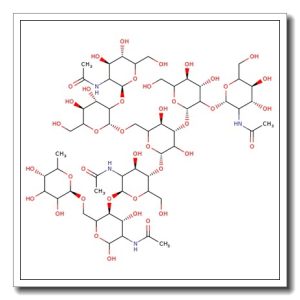 FA2G1 N-Glycan