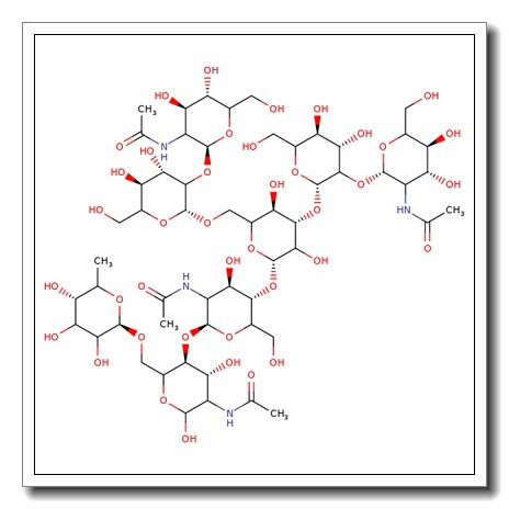 FA2G1 N-Glycan