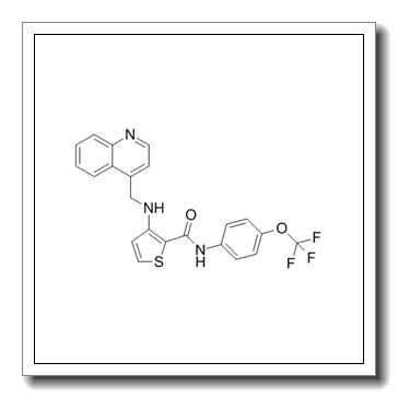 3-(quinolin-4-ylmethylamino)-N-[4-(trifluoromethoxy)phenyl]thiophene-2-carboxamide CAS 728033-96-3
