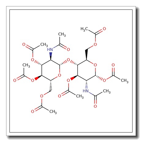 Chitobiose-6′-phosphate