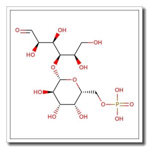 Lactose-6′-phosphate