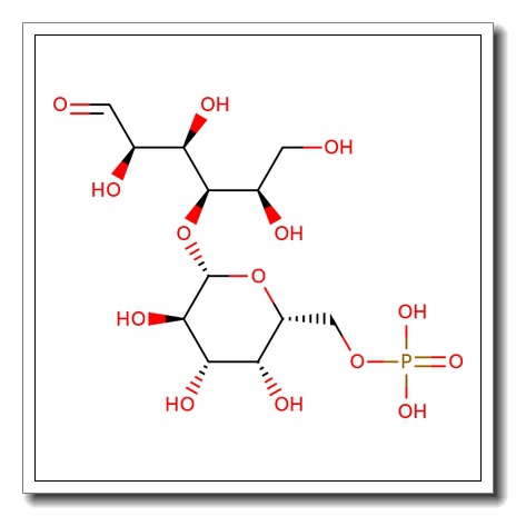 Lactose-6′-phosphate