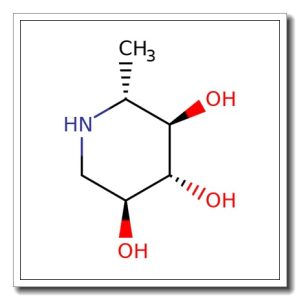 1,6-Dideoxynojirimycin