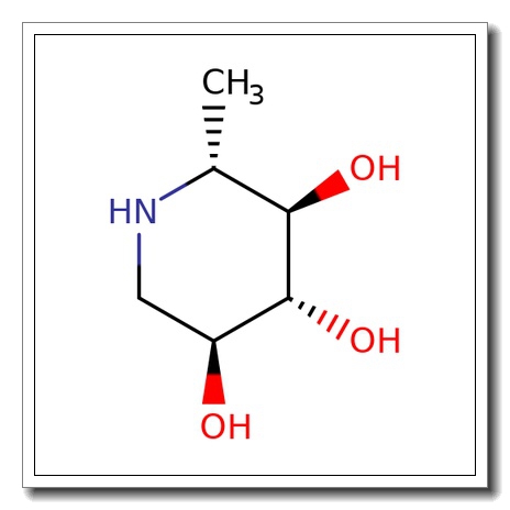 1,6-Dideoxynojirimycin
