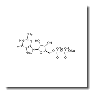Guanosine-5'-diphosphate disodium salt CAS 7415-69-2