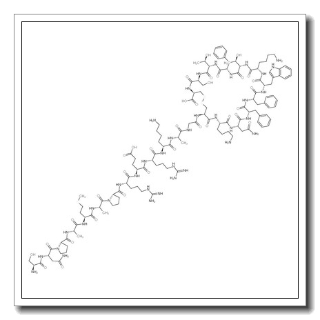 Somatostatin 25,H-Ser-Asn-Pro-Ala-Met-Ala-Pro-Arg-Glu-Arg-Lys-Ala-Gly-Cys-Lys-Asn-Phe-Phe-Trp-Lys-Thr-Phe-Thr-Ser-Cys-OH CAS 75037-26-2 