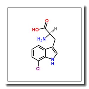 7-氯-D-色氨酸