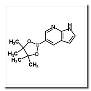 7-氮杂吲哚-5-硼酸频哪醇酯