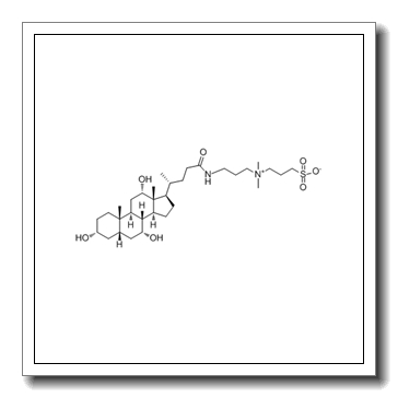 3-((3-Cholamidopropyl)dimethylammonium)-1-propanesulfonate CAS 75621-03-3