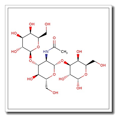 Lacto-N-triose II