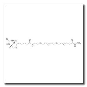 Biotin-PEG4-hydrazide