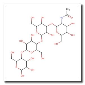 Globo-N-tetraose