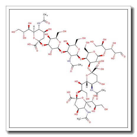 GT1b-Oligosaccharide