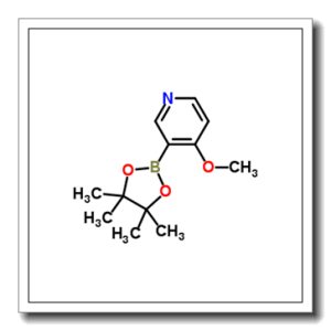4-甲氧基吡啶-3-硼酸频哪醇酯