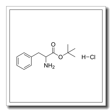 (S)-2-氨基-3-苯基丙酸叔丁酯盐酸盐