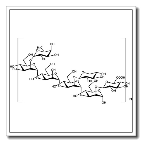 Glucurono-xylomannan polysaccharide from Tremella fuciformis