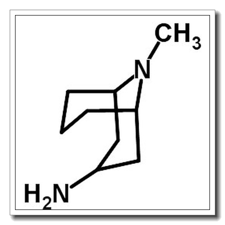 exo-3-Amino-9-methyl-9-azabicyclo[3,3,1]nonane CAS 76272-41-8 