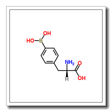 4-Borono-L-phenylalanine CAS 76410-58-7