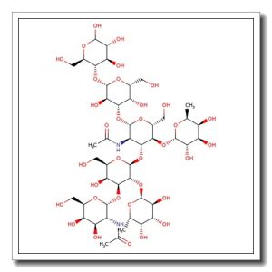a-Heptasaccharide