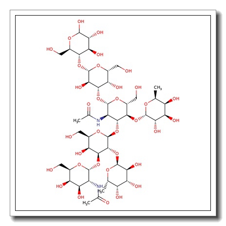 a-Heptasaccharide