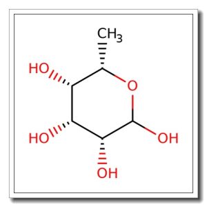 6-Deoxy-L-talose