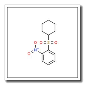 1-(环己基)-2-硝基苯