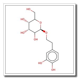 2-(3,4-Dihydroxyphenyl)ethyl b-D-glucopyranoside