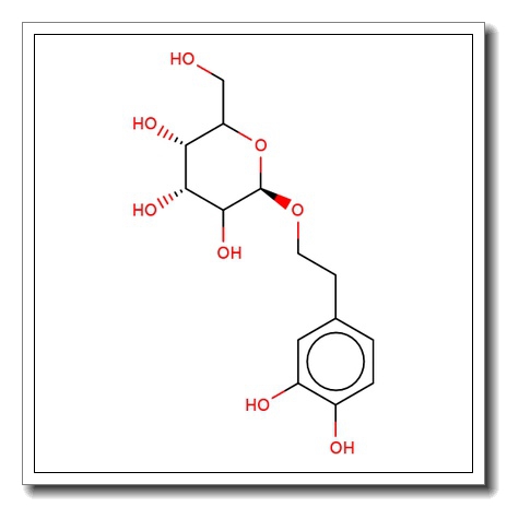 2-(3,4-Dihydroxyphenyl)ethyl b-D-glucopyranoside