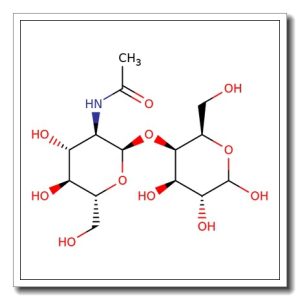 4-O-(2-Acetamido-2-deoxy-a-D-glucopyranosyl)-D-galactopyranose