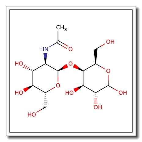 4-O-(2-Acetamido-2-deoxy-a-D-glucopyranosyl)-D-galactopyranose CAS 76909-76-7
