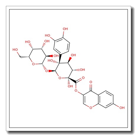 2-(3,4-Dihydroxyphenyl)-5,7-dihydroxy-4-oxo-4H-1-benzopyran-3-yl O-b-D-galactopyranosyl-b-D-glucopyranosiduronic acid CAS 77154-70-2