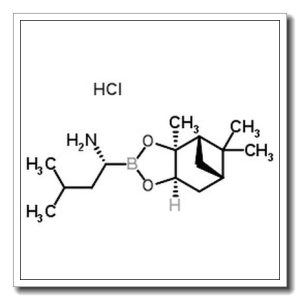 (R)-1-氨基-3-甲基丁基硼酸蒎烷二醇酯盐酸盐