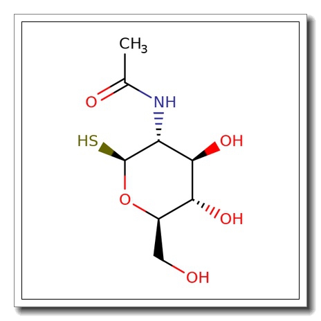 2-Acetamido-2-deoxy-b-D-thioglucopyranose