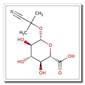 1-Cyano-1-methylethyl b-D-glucopyranosiduronic acid