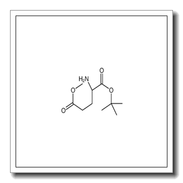 (S)-1-叔丁基-5-甲基-2-氨基戊二酸