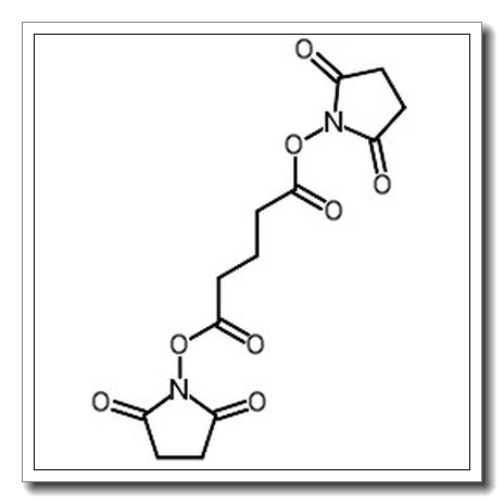 双琥珀酰亚胺戊二酸酯