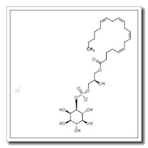 L-α-lysophosphatidylinositol Sodium Salt