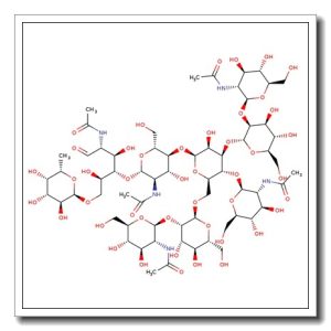 NGA2FB N-Glycan