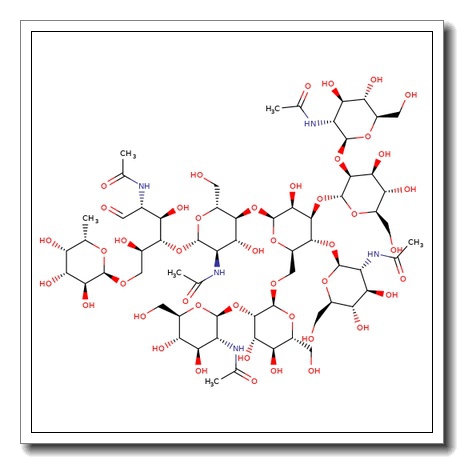 NGA2FB N-Glycan