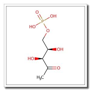 1-Deoxy-D-xylulose 5-phosphate sodium salt