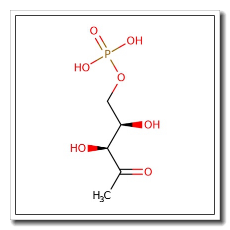 1-Deoxy-D-xylulose 5-phosphate sodium salt