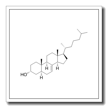 5α-cholest-7-en-3ß-ol