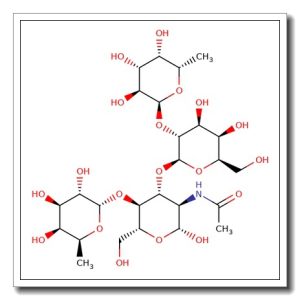 Lewis B tetrasaccharide