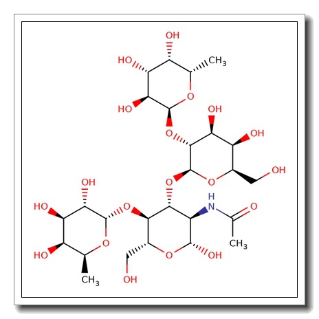 Lewis B tetrasaccharide